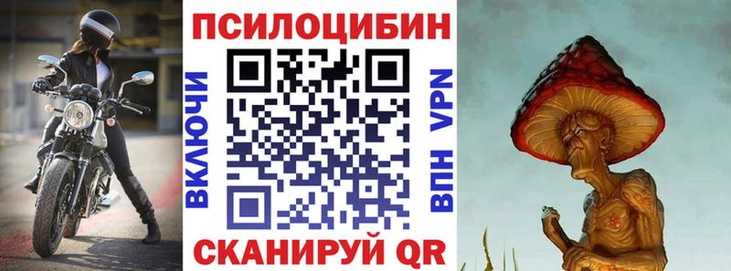 Псилоцибиновые грибы Psilocybine cubensis  Купить закладки  Мелеуз 